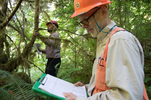 Pacific Northwest Permanent Sample Plot Program, Field work 2018
