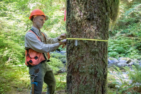 Pacific Northwest Permanent Sample Plot Program, Field work 2018