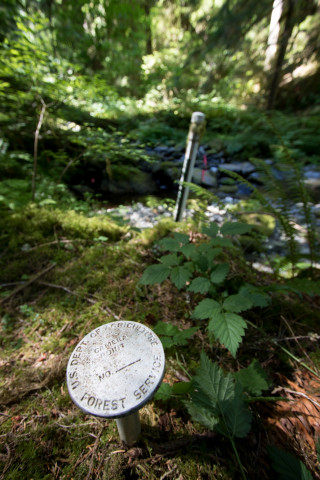 Pacific Northwest Permanent Sample Plot Program, Field work 2018