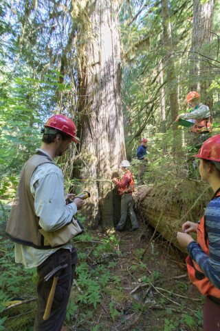 Pacific Northwest Permanent Sample Plot Program, Field work 2018