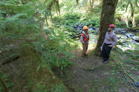 Pacific Northwest Permanent Sample Plot Program, Field work 2018