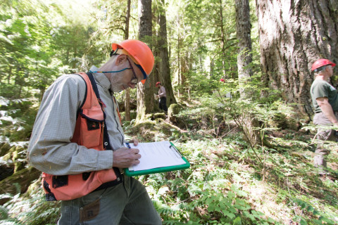 Pacific Northwest Permanent Sample Plot Program, Field work 2018