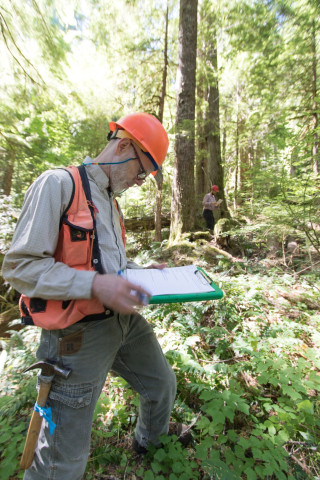 Pacific Northwest Permanent Sample Plot Program, Field work 2018