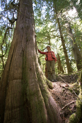 Pacific Northwest Permanent Sample Plot Program, Field work 2018