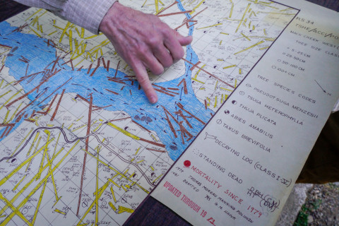Pacific Northwest Permanent Sample Plot Program, Field work 2018