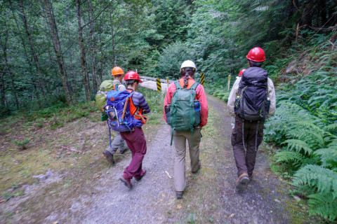 Pacific Northwest Permanent Sample Plot Program, Field work 2018
