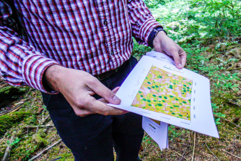 Pacific Northwest Permanent Sample Plot Program, Field work 2018