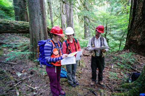 Pacific Northwest Permanent Sample Plot Program, Field work 2018