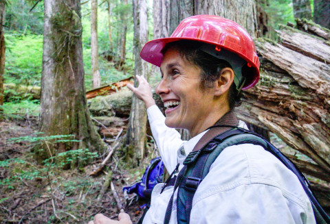 Pacific Northwest Permanent Sample Plot Program, Field work 2018