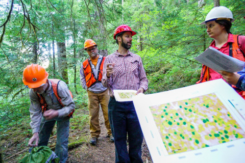 Pacific Northwest Permanent Sample Plot Program, Field work 2018