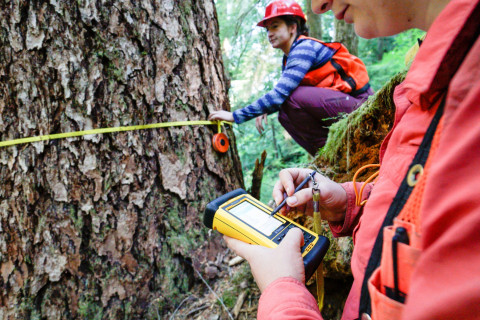 Pacific Northwest Permanent Sample Plot Program, Field work 2018