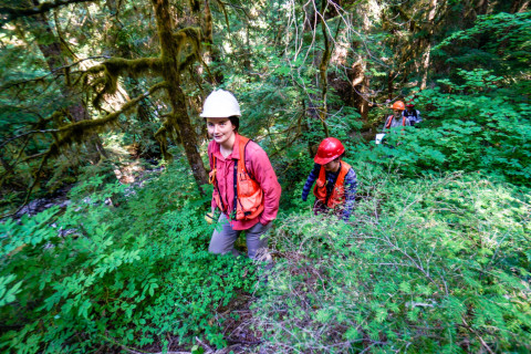 Pacific Northwest Permanent Sample Plot Program, Field work 2018