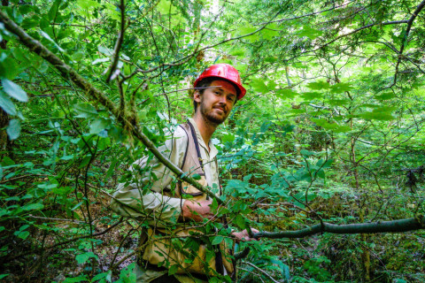 Pacific Northwest Permanent Sample Plot Program, Field work 2018