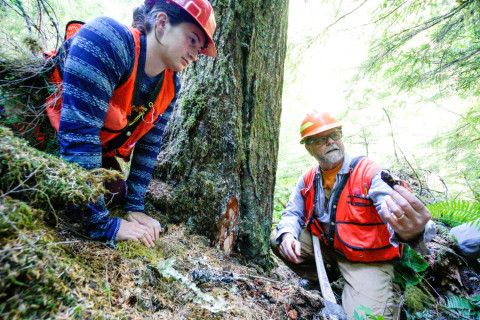 Pacific Northwest Permanent Sample Plot Program, Field work 2018