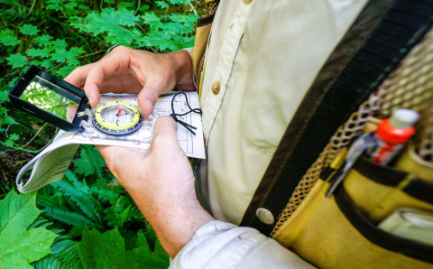 Pacific Northwest Permanent Sample Plot Program, Field work 2018