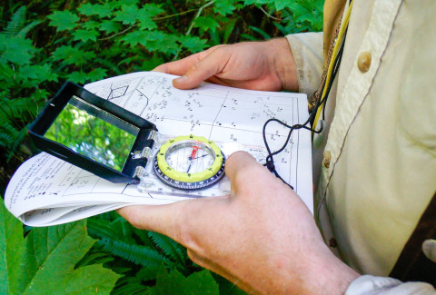 Pacific Northwest Permanent Sample Plot Program, Field work 2018