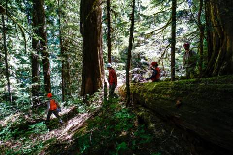 Pacific Northwest Permanent Sample Plot Program, Field work 2018