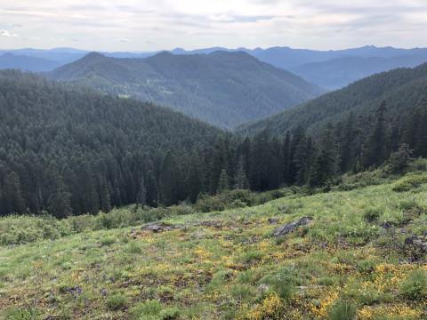 View of Lookout Main
