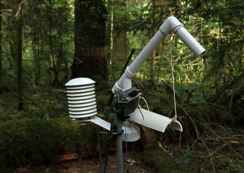 Instrumentation near the discovery tree
