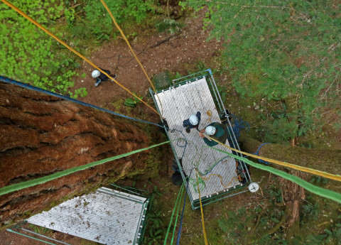 the view from above