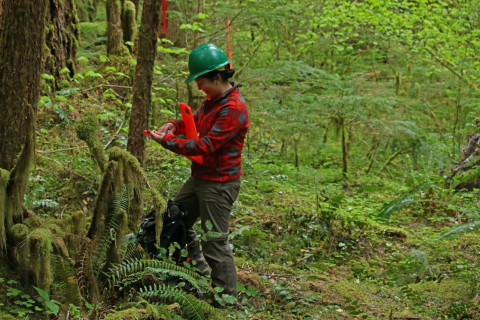 field researcher