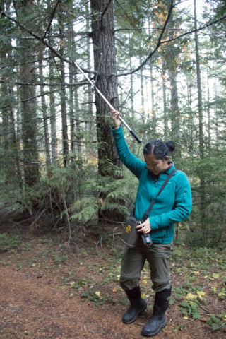 OSU PhD student, Marie Tosa, with radio telemetry gear