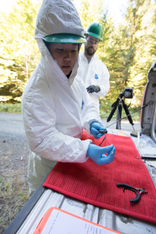 Marie Tosa shows a radio transmitter collar