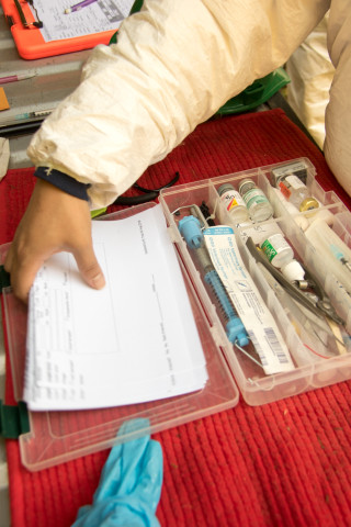 Animal capture supplies