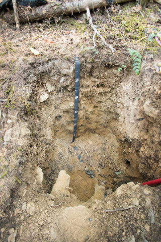 A 1-meter deep soil pit, with a depth measurement tape