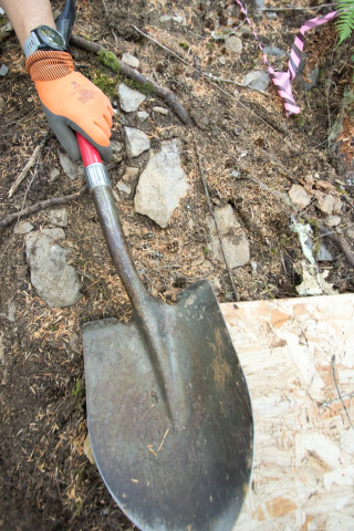 a shovel