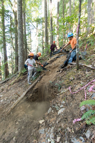 Carefully backfilling all the material that came out of the soil pit with a heavy canvas tarp