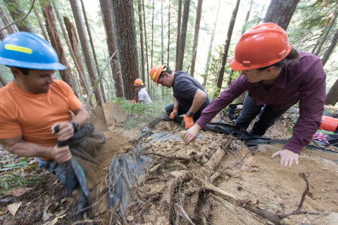 Karla Jarecke carefully filling voids of a soil pit and trying to mimic the previous bulk density of the soil prior to excavation