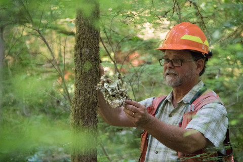 Dave Shaw presents on long-term vegetation studies