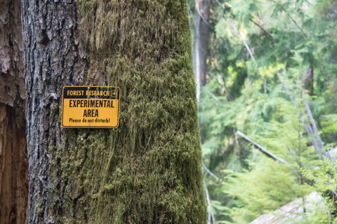 Experimental Forest signage