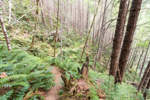 Soil and Stream field work 2017