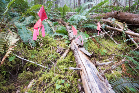 Soil and Stream field work 2017