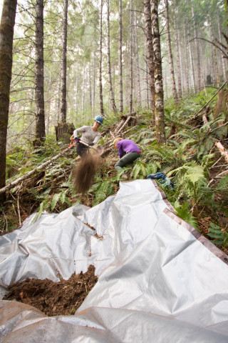 Soil and Stream field work 2017