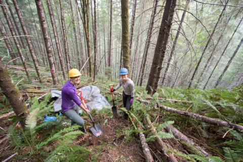 Soil and Stream field work 2017