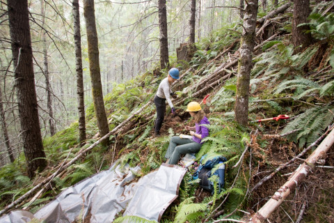 Soil and Stream field work 2017
