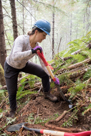 Soil and Stream field work 2017