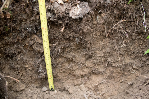 Soil and Stream field work 2017