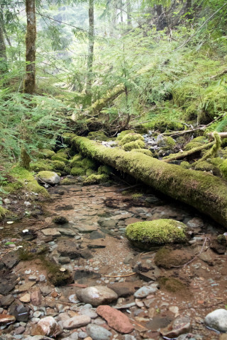 Soil and Stream field work 2017