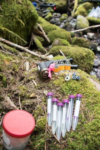 Soil and Stream field work 2017