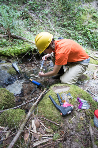 Soil and Stream field work 2017