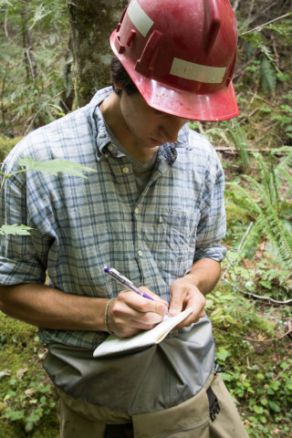 Soil and Stream field work 2017