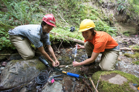 Soil and Stream field work 2017