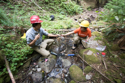 Soil and Stream field work 2017