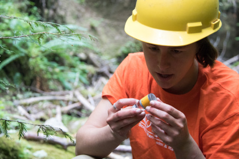 Soil and Stream field work 2017