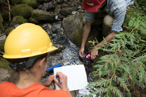 Soil and Stream field work 2017