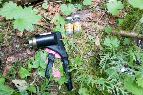 Soil and Stream field work 2017